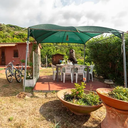 I Limoni - Goelba *